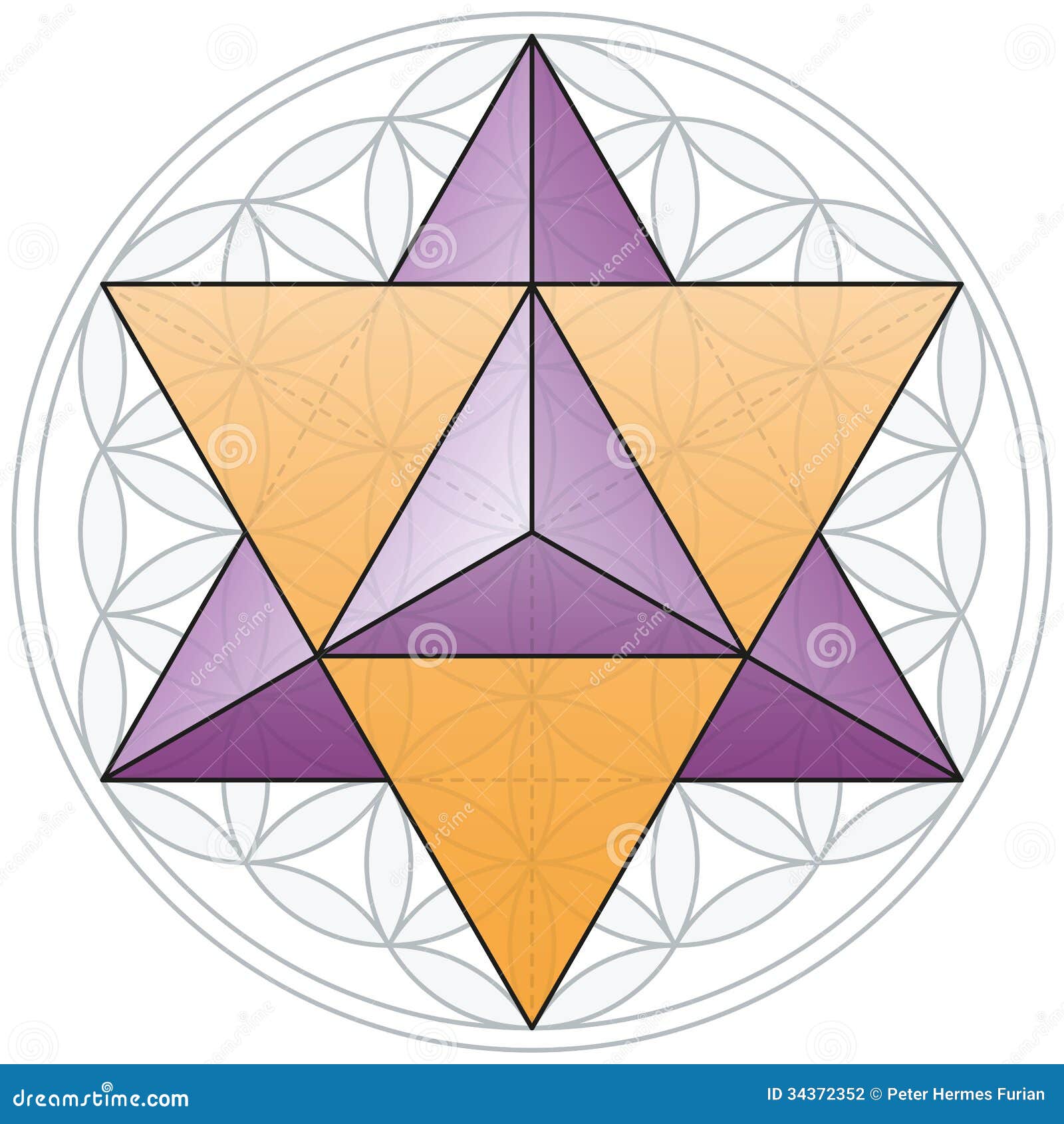 merkaba-flower-life-double-tetrahedron-fits-geometrical-figure-composed-multiple-evenly-spaced-overlapping-34372352-1721077257.jpg