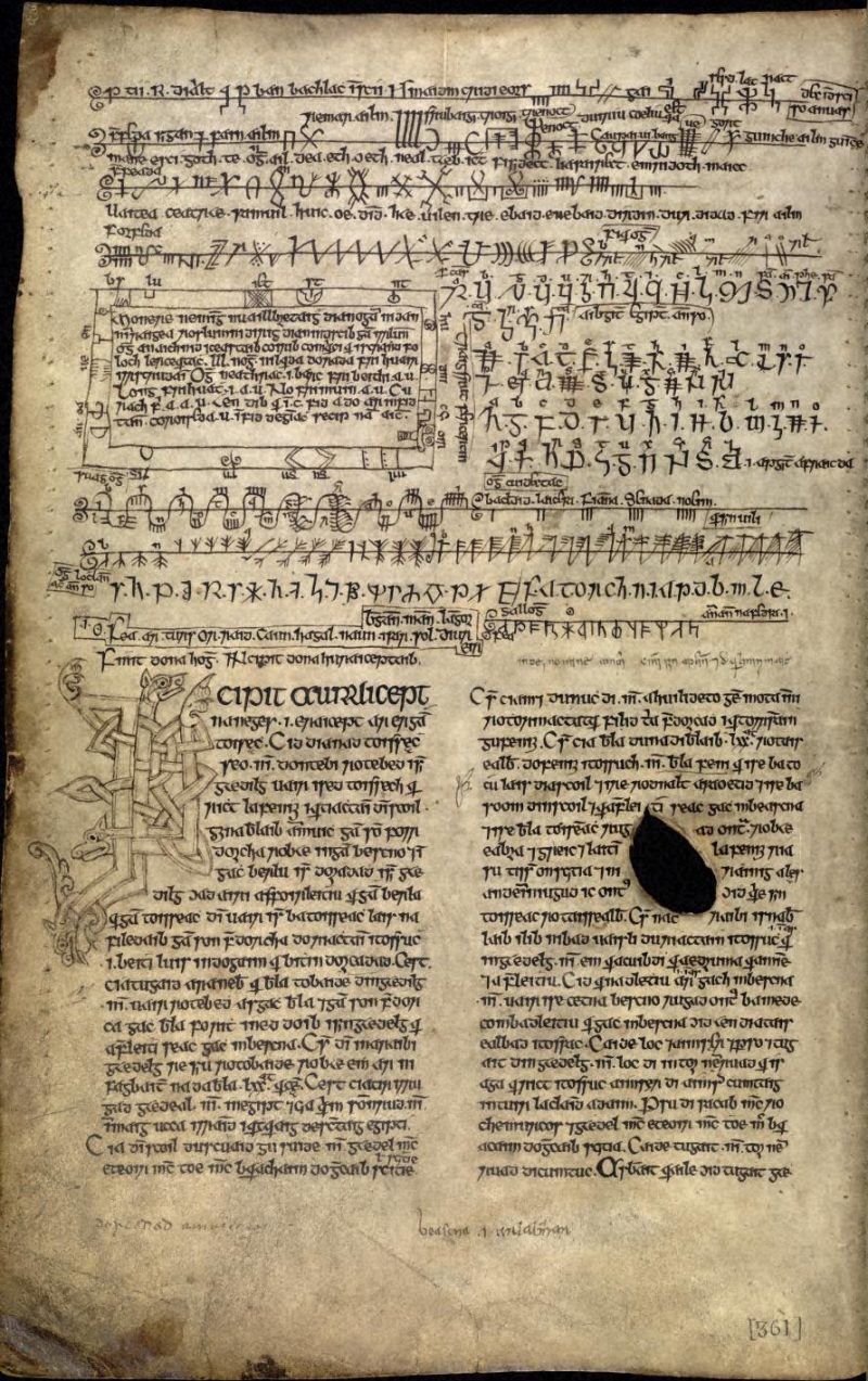 Beginning of Auraicept na nÉces in the Book of Ballymote
